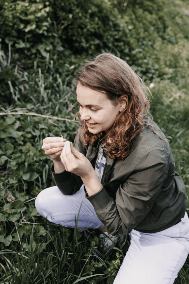 Kräuterwanderungen und Waldbaden in Bamberg