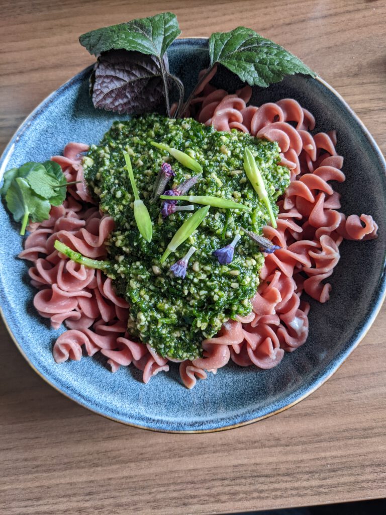 Kräuterwanderungen und Waldbaden in Bamberg