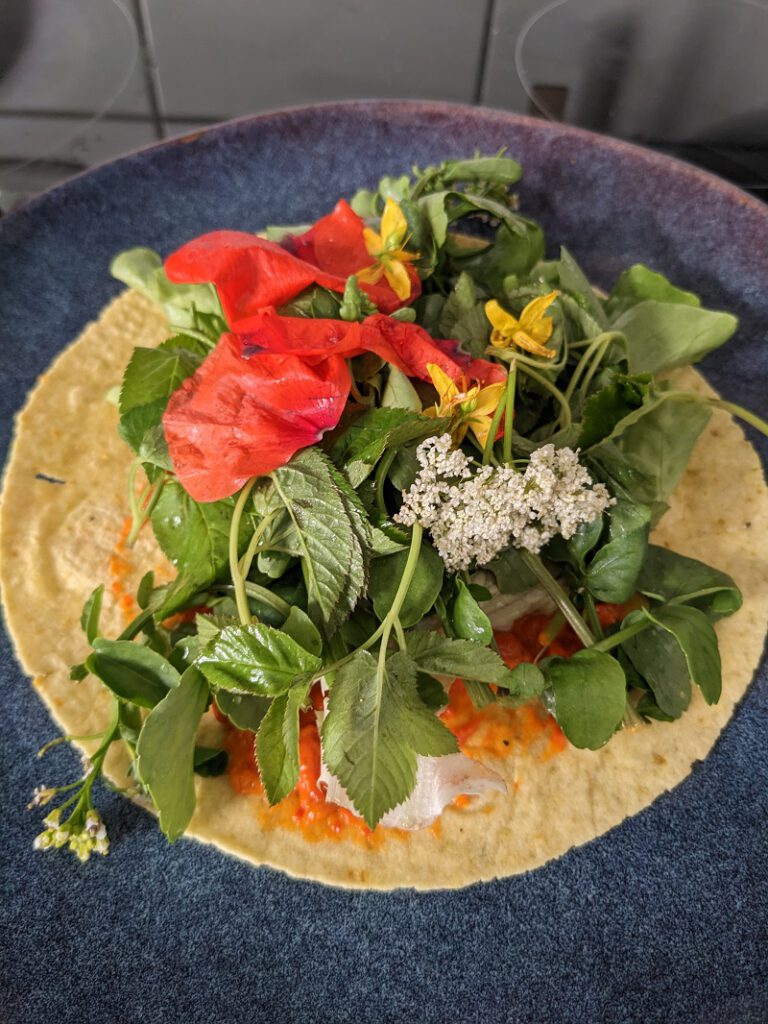 Wildkräuter Wraps